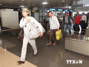 More Vietnamese workers to repatriate